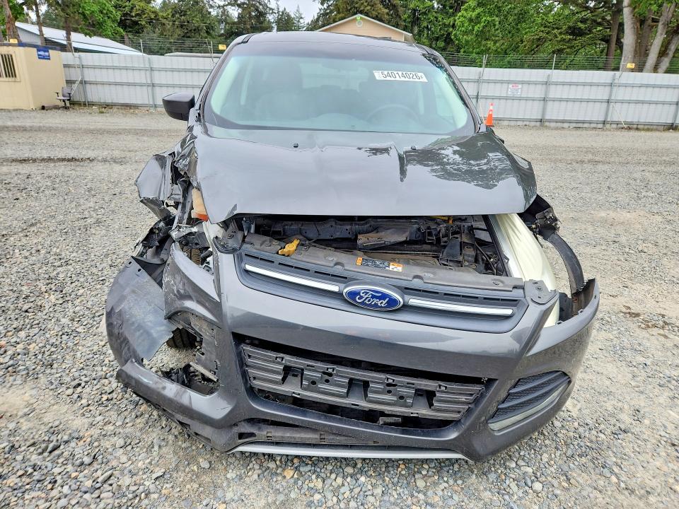 2015 Ford Escape მანქანა იყიდება აუქციონზე, vin: 1FMCU0G94FUA93303, აუქციონის ნომერი: 54014026