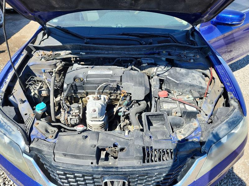 53216166 :رقم المزاد ، 1HGCT1B87DA800924 vin ، 2013 Honda Accord مزاد بيع