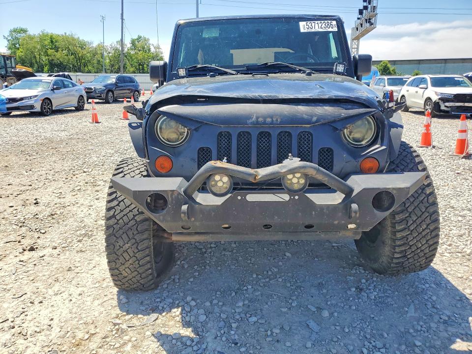 Продаж на аукціоні авто 2009 Jeep Wrangler Unlimited, vin: 1J8GA69179L703383, номер лоту: 53712386