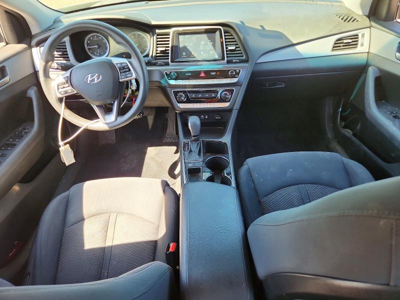 Продаж на аукціоні авто 2019 Hyundai Sonata, vin: 5NPE24AF5KH736383, номер лоту: 53759496
