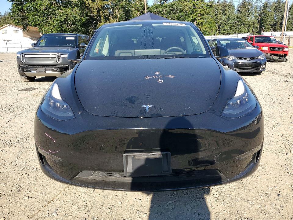 Продаж на аукціоні авто 2024 Tesla Model Y, vin: 7SAYGDED8RF086063, номер лоту: 53909236