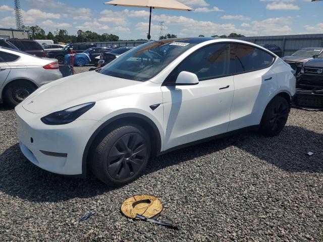Продаж на аукціоні авто 2024 Tesla Model Y, vin: 7SAYGDED7RA329326, номер лоту: 51482106