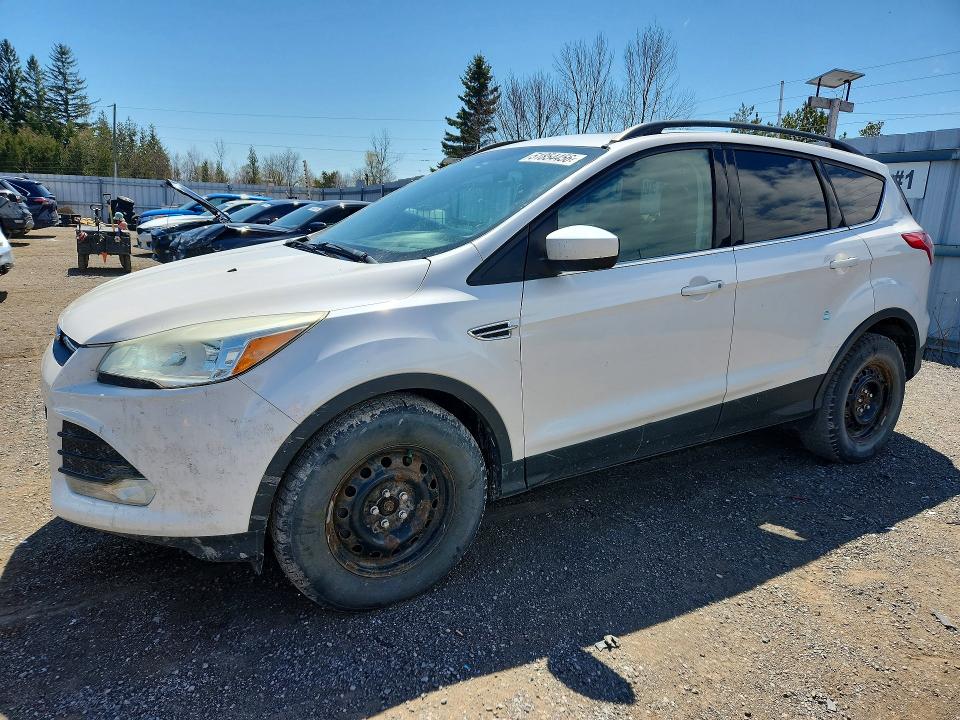 Продаж на аукціоні авто 2014 Ford Escape, vin: 1FMCU9GX7EUC40067, номер лоту: 51854456
