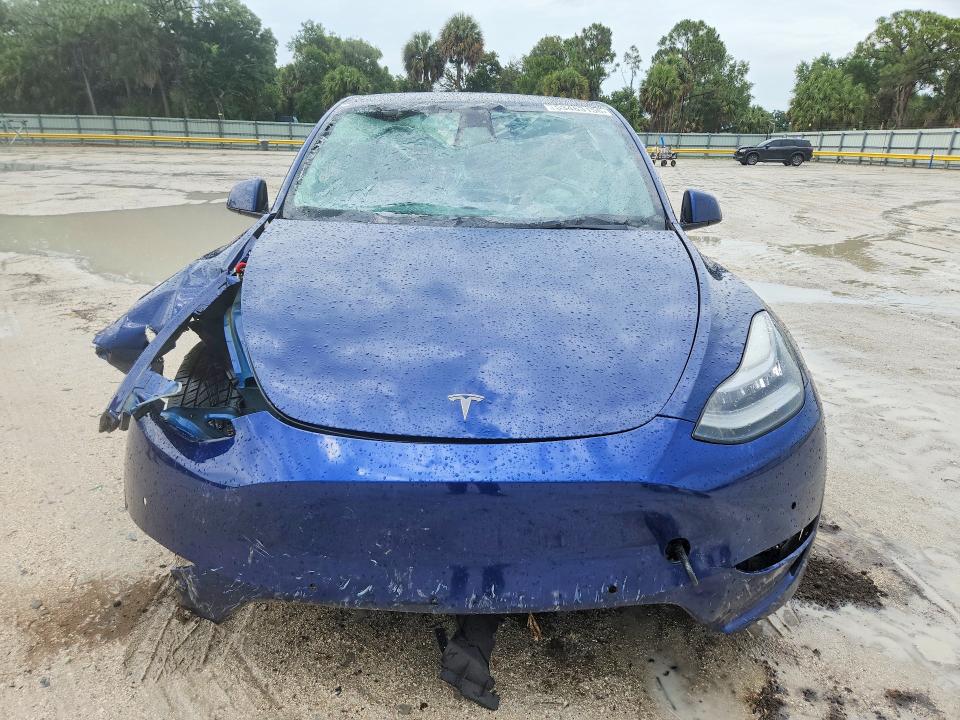 53463156 :رقم المزاد ، 5YJYGDEE6MF174379 vin ، 2021 Tesla Model Y مزاد بيع