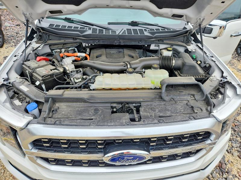 Aukcja sprzedaży 2023 Ford F150, vin: 1FTFW1ED2PFB29424, numer aukcji: 53325216