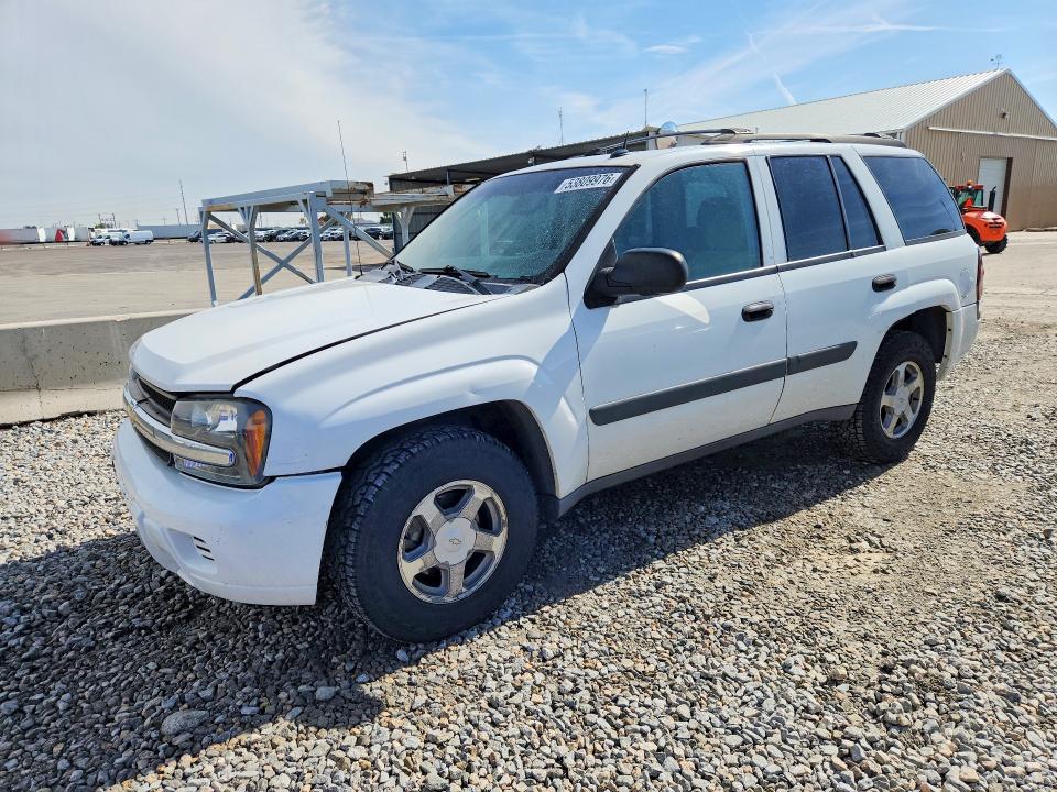 2005 Chevrolet Trailblazer მანქანა იყიდება აუქციონზე, vin: 1GNDT13S752116262, აუქციონის ნომერი: 53809976
