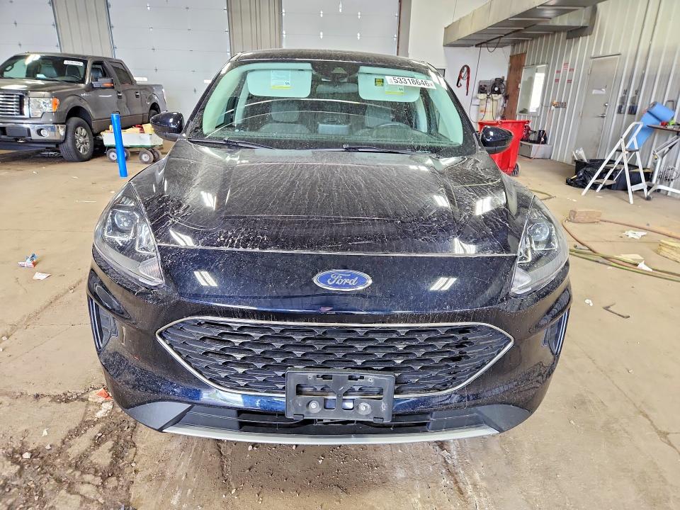 2021 Ford Escape მანქანა იყიდება აუქციონზე, vin: 1FMCU0BZ1MUB13883, აუქციონის ნომერი: 53318646