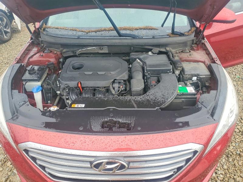 Продажа на аукционе авто 2016 Hyundai Sonata, vin: 5NPE24AF1GH268529, номер лота: 55436966
