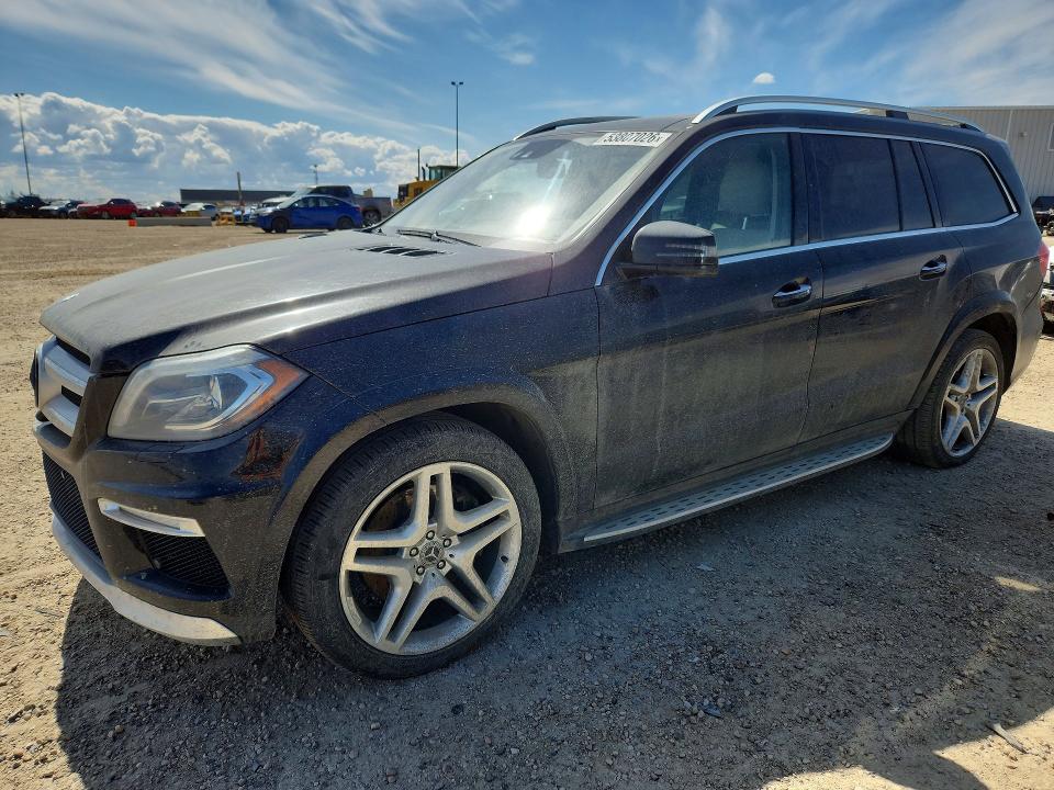Auction sale of the 2013 Mercedes-benz Gl, vin: 4JGDF2EEXDA238143, lot number: 53807026