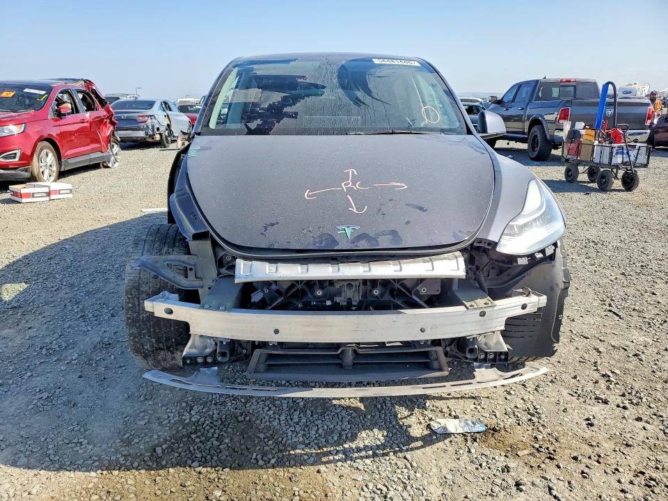 Продаж на аукціоні авто 2021 Tesla Model Y, vin: 5YJYGDEE7MF218776, номер лоту: 54481446