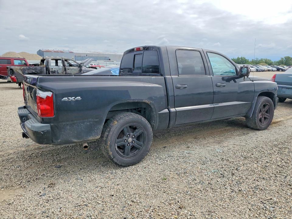 51881786 :رقم المزاد ، 1D7HW68N98S584568 vin ، 2008 Dodge Dakota مزاد بيع