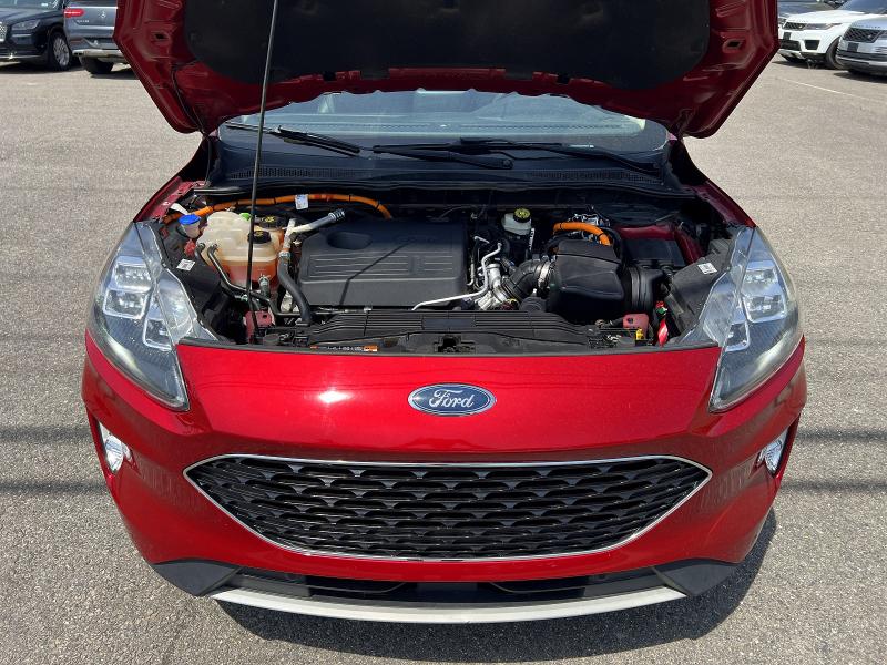 53846396 :رقم المزاد ، 1FMCU0DZXLUA46311 vin ، 2020 Ford Escape مزاد بيع