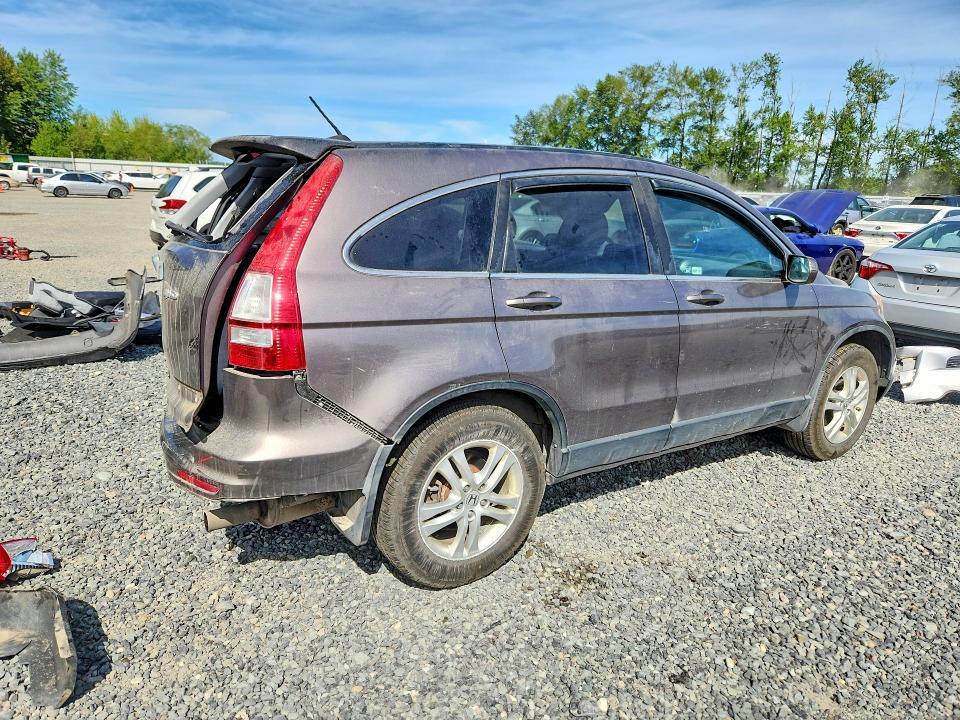 Aukcja sprzedaży 2010 Honda Cr-v, vin: 5J6RE4H72AL816056, numer aukcji: 53411506