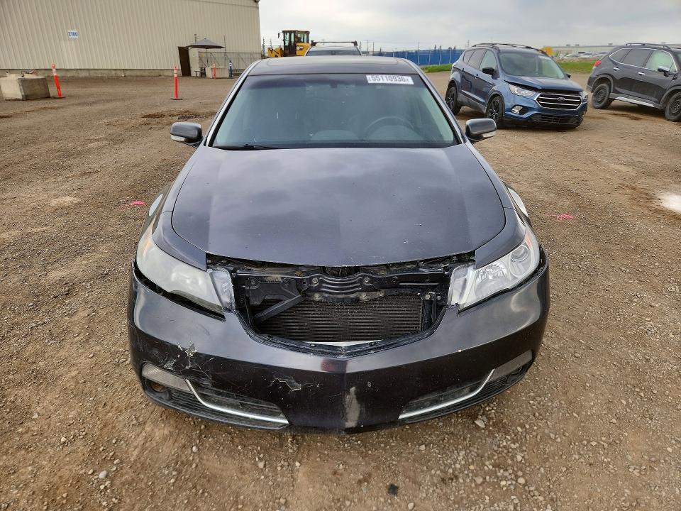 Продажа на аукционе авто 2012 Acura Tl, vin: 19UUA9F29CA800789, номер лота: 55110936