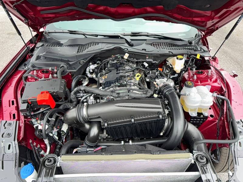 Продаж на аукціоні авто 2026 Ford Mustang, vin: 1FA6P8TH5T5103367, номер лоту: 52405786
