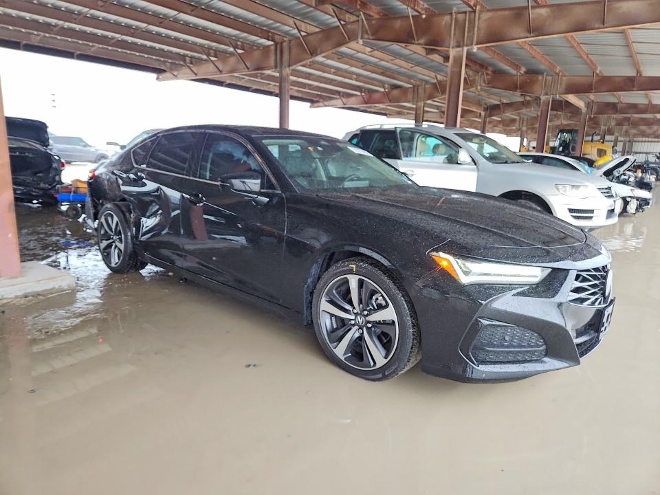 Aukcja sprzedaży 2025 Acura Tlx, vin: 19UUB5F43SA002858, numer aukcji: 51973406