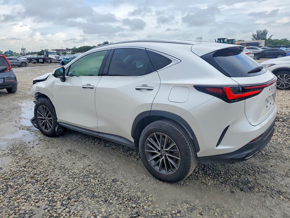 2023 Lexus Nx მანქანა იყიდება აუქციონზე, vin: JTJADCAZ9P5010477, აუქციონის ნომერი: 54989656