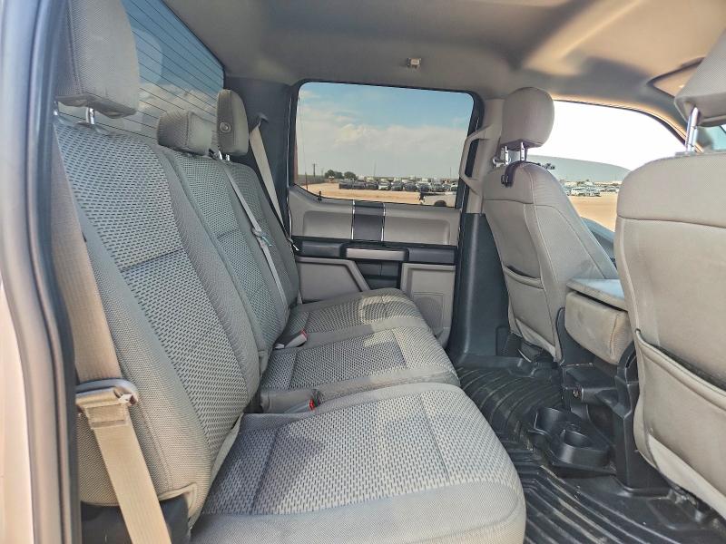 53726906 :رقم المزاد ، 1FTEW1E59KKD06703 vin ، 2019 Ford F150 مزاد بيع
