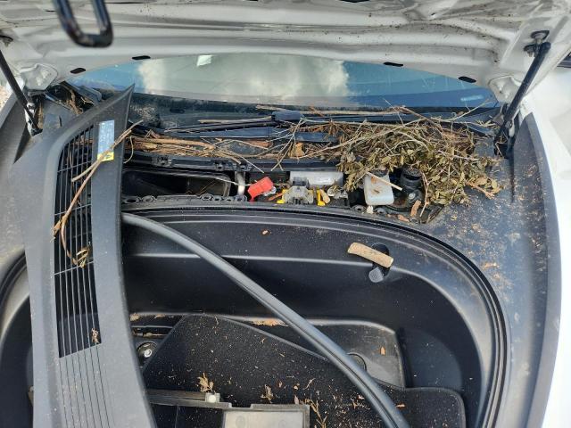 53276736 :رقم المزاد ، 5YJ3E1EA4JF035441 vin ، 2018 Tesla Model 3 مزاد بيع