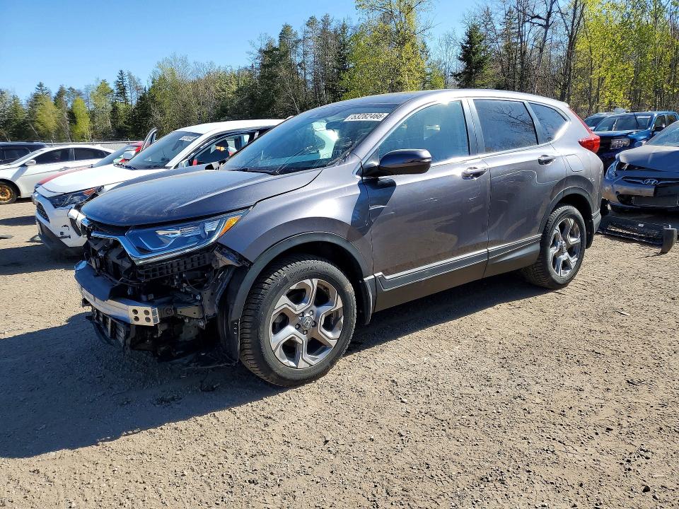 53282466 :رقم المزاد ، 2HKRW2H51KH126293 vin ، 2019 Honda Cr-v مزاد بيع