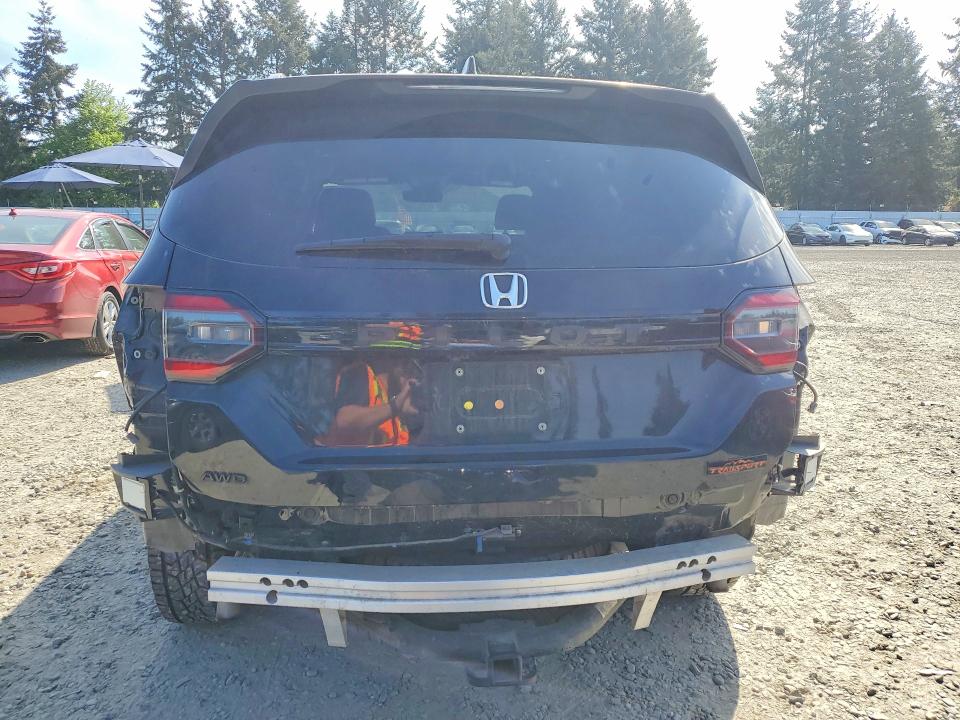 53450486 :رقم المزاد ، 5FNYG1H63SB046343 vin ، 2025 Honda Pilot مزاد بيع