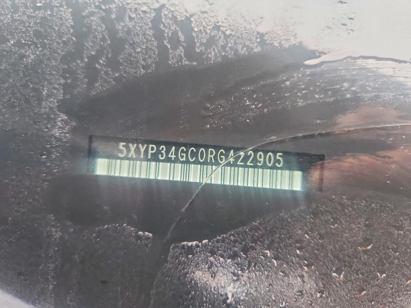 54193306 :رقم المزاد ، 5XYP34GC0RG422905 vin ، 2024 Kia Telluride مزاد بيع