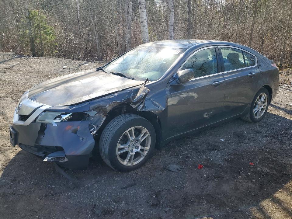 Продажа на аукционе авто 2011 Acura Tl, vin: 19UUA8F58BA800107, номер лота: 51404536