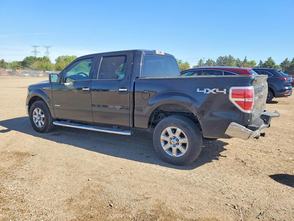 53587836 :رقم المزاد ، 1FTFW1ET0DFB89110 vin ، 2013 Ford F150 مزاد بيع