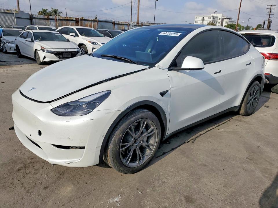 Продаж на аукціоні авто 2024 Tesla Model Y, vin: 7SAYGDED1RF193049, номер лоту: 54130086