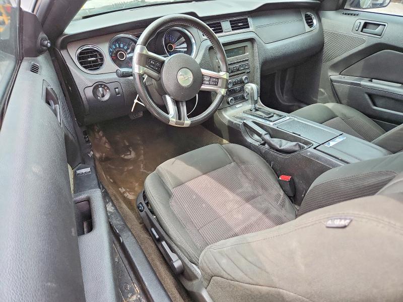 52402996 :رقم المزاد ، 1ZVBP8AM0E5254044 vin ، 2014 Ford Mustang مزاد بيع