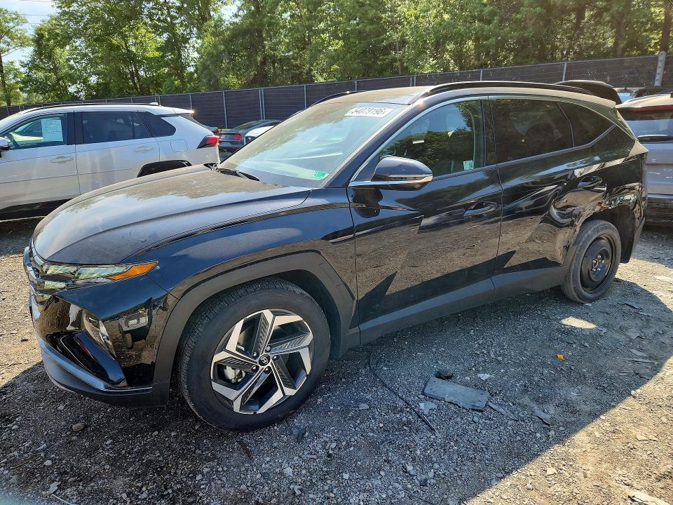 Продажа на аукционе авто 2024 Hyundai Tucson, vin: 5NMJE3DE1RH386910, номер лота: 54079196