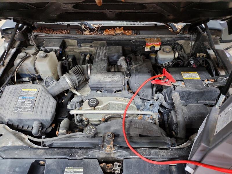 53116816 :رقم المزاد ، 5GTEN13E898126098 vin ، 2009 Hummer H3 مزاد بيع
