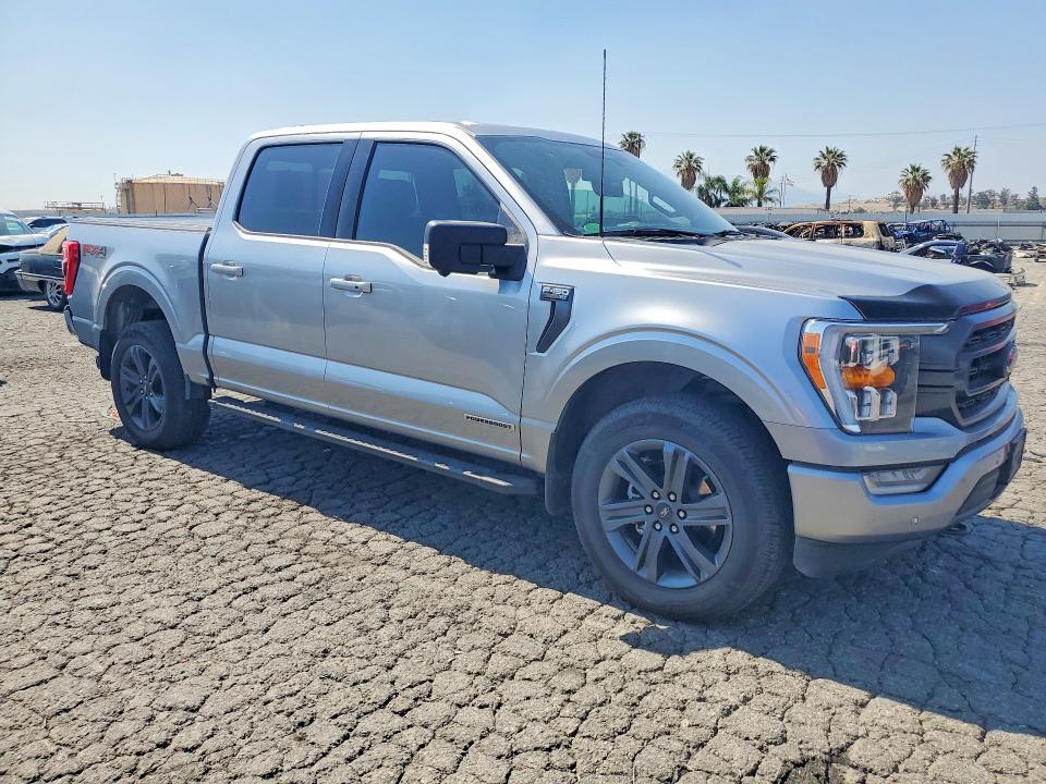 53723276 :رقم المزاد ، 1FTFW1ED3PFA04593 vin ، 2023 Ford F150 مزاد بيع
