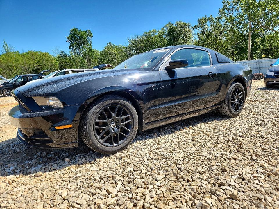 Продажа на аукционе авто 2014 Ford Mustang, vin: 1ZVBP8AM4E5271669, номер лота: 52179946