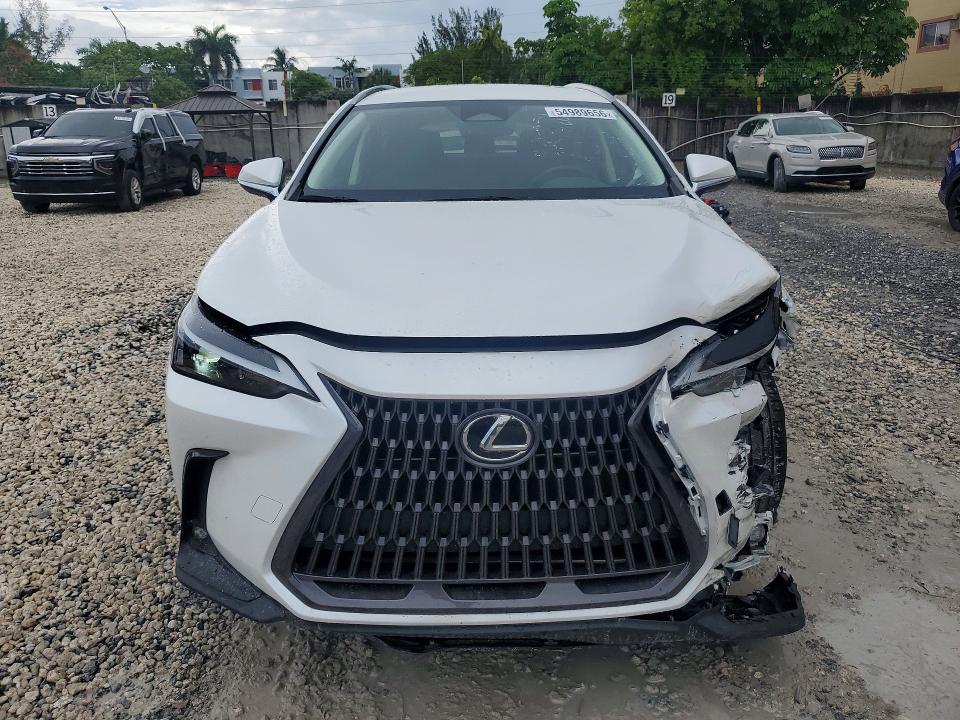 2023 Lexus Nx მანქანა იყიდება აუქციონზე, vin: JTJADCAZ9P5010477, აუქციონის ნომერი: 54989656