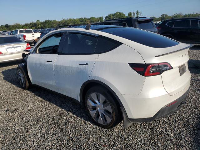 Продаж на аукціоні авто 2023 Tesla Model Y, vin: 7SAYGDEE0PA114523, номер лоту: 53700476