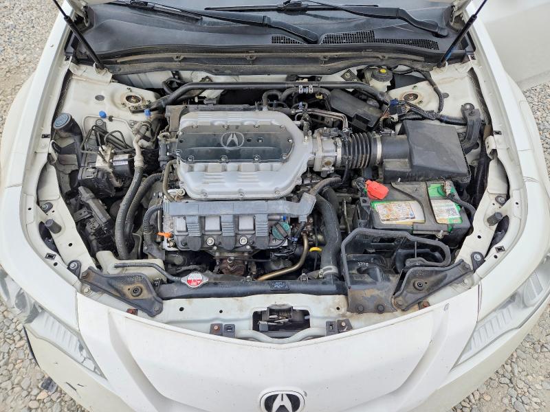 51908656 :رقم المزاد ، 19UUA9F52BA000036 vin ، 2011 Acura Tl مزاد بيع