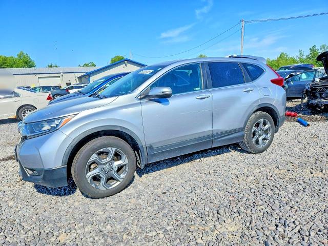 Auction sale of the 2019 Honda Cr-v, vin: 5J6RW2H84KL016449, lot number: 53025136
