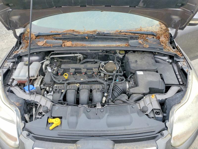 Aukcja sprzedaży 2014 Ford Focus, vin: 1FADP3F21EL278568, numer aukcji: 52463176
