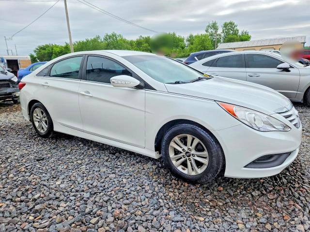 Продаж на аукціоні авто 2014 Hyundai Sonata, vin: 5NPEB4AC9EH819163, номер лоту: 54512626