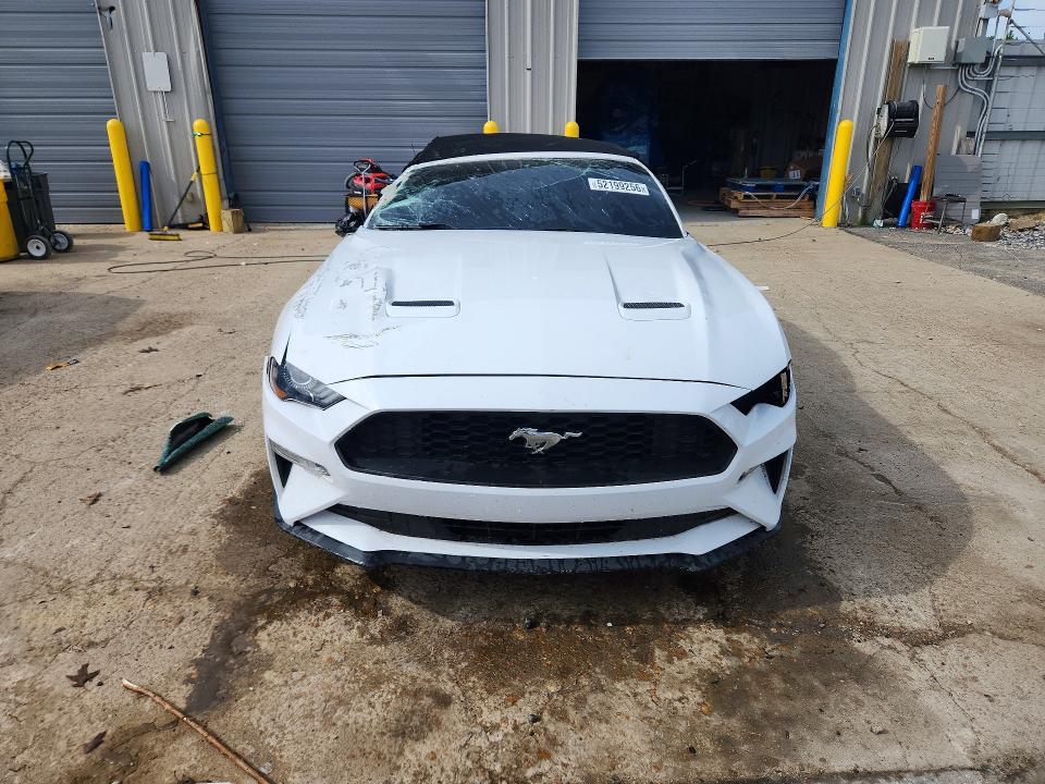 52199256 :رقم المزاد ، 1FATP8UH4K5104378 vin ، 2019 Ford Mustang مزاد بيع