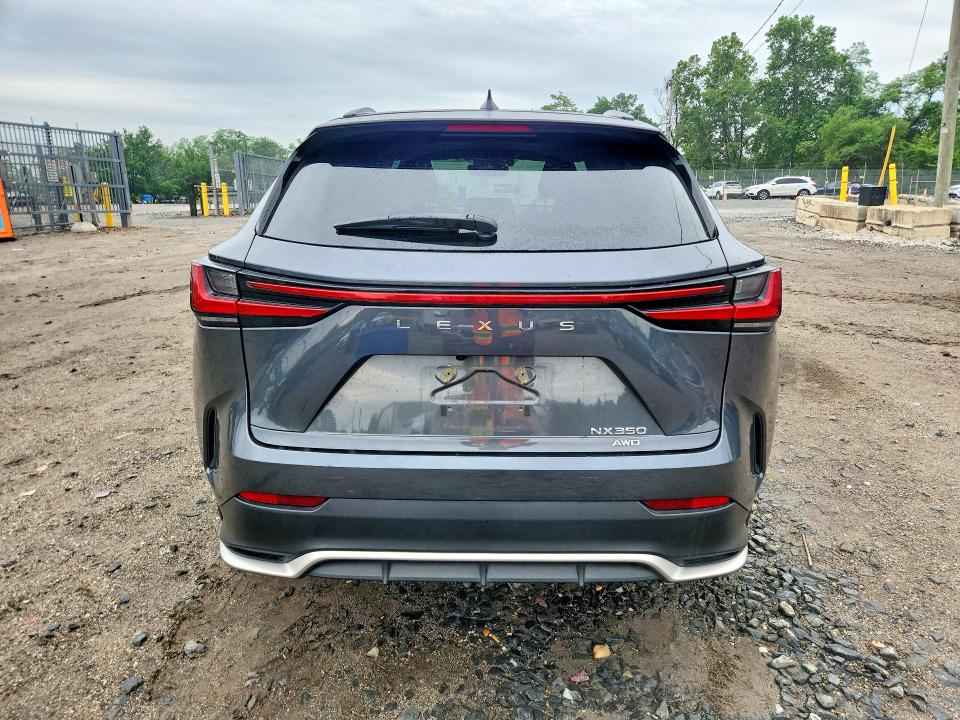54613076 :رقم المزاد ، 2T2KGCEZ5RC050534 vin ، 2024 Lexus Nx 350 مزاد بيع