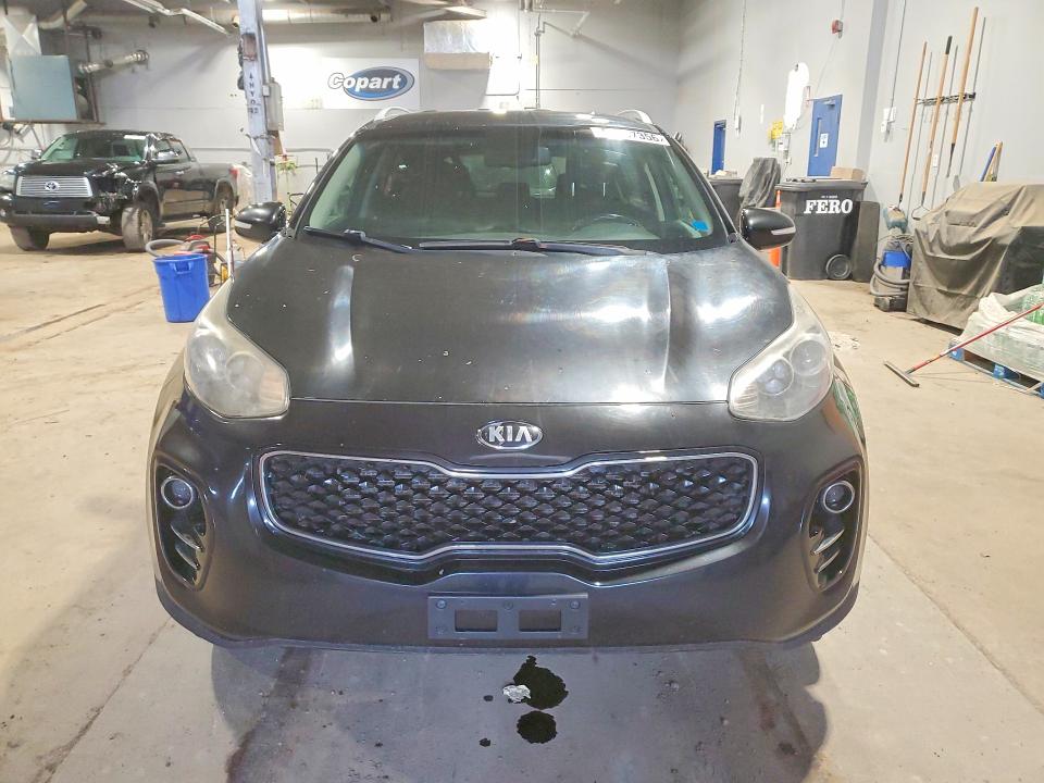 Продаж на аукціоні авто 2017 Kia Sportage, vin: KNDPNCAC5H7117814, номер лоту: 52807356