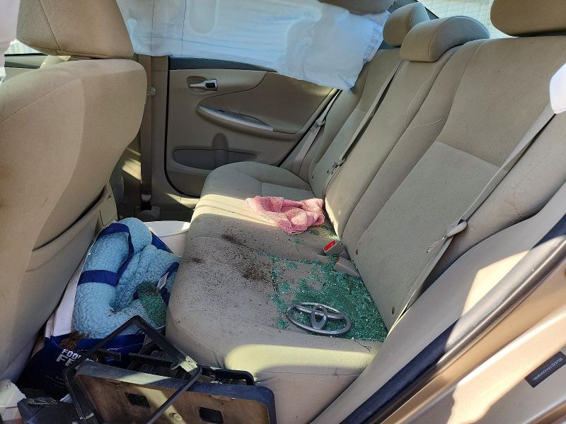 53195116 :رقم المزاد ، 1NXBU4EEXAZ323700 vin ، 2010 Toyota Corolla مزاد بيع