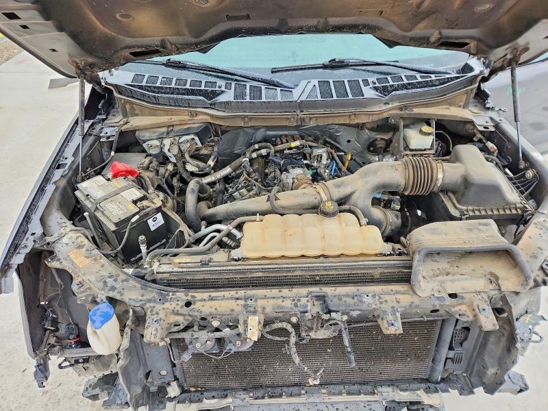 52507296 :رقم المزاد ، 1FTEW1CPXMFC03614 vin ، 2021 Ford F150 مزاد بيع