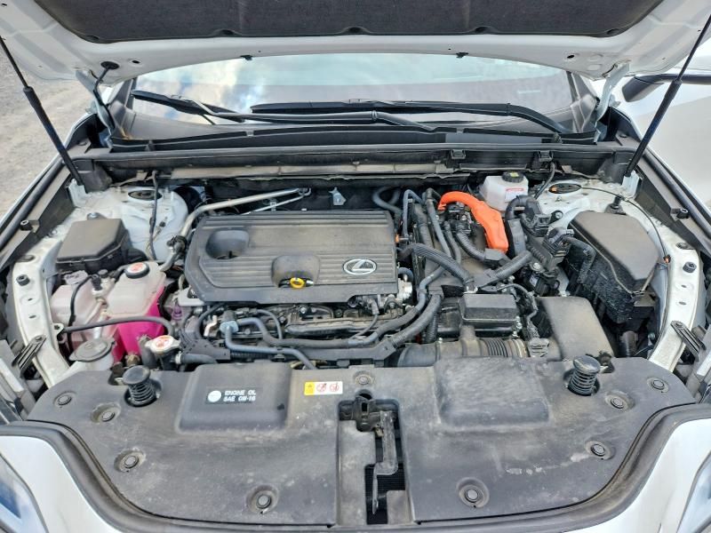 Aukcja sprzedaży 2024 Lexus Nx 350h, vin: JTJGKCEZ0R5011143, numer aukcji: 53320746