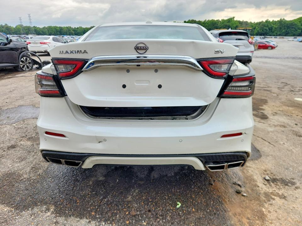 54663326 :رقم المزاد ، 1N4AA6CV9PC509112 vin ، 2023 Nissan Maxima مزاد بيع