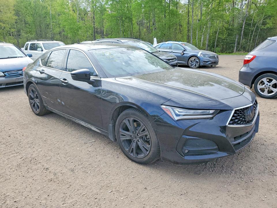 Auction sale of the 2022 Acura Tlx, vin: 19UUB6F91NA800099, lot number: 54412676