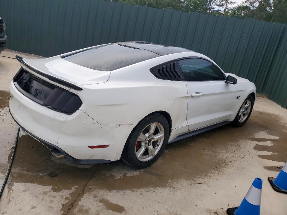 Продаж на аукціоні авто 2017 Ford Mustang, vin: 1FA6P8AM4H5305009, номер лоту: 53981076