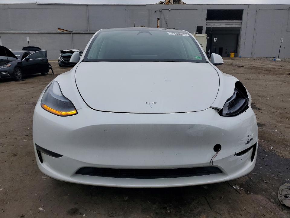 Продажа на аукционе авто 2024 Tesla Model  Y, vin: 7SAYGDED3RF167567, номер лота: 54635346